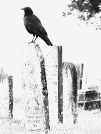 funeral2_268px.jpg