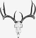 antlers_134px.jpg